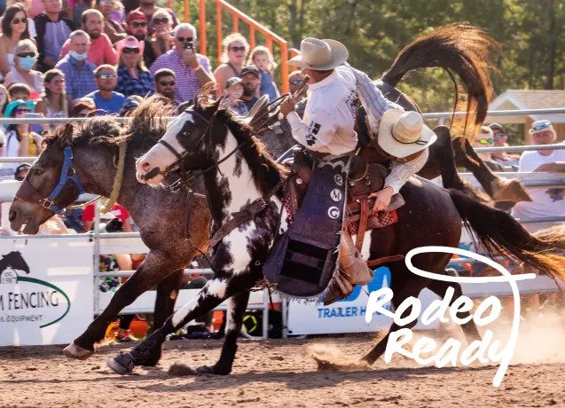 online payment system