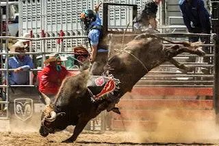 where are we located